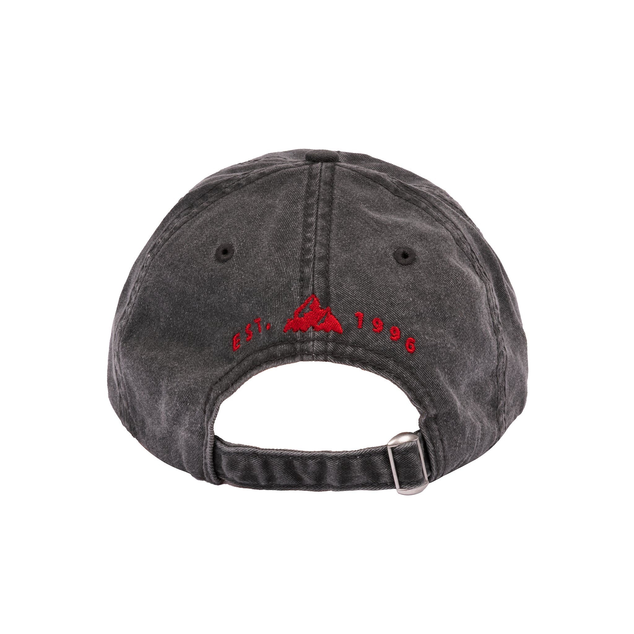 Grateful Dead x TGR Ski Bear Dad Hat - Teton Gravity Research