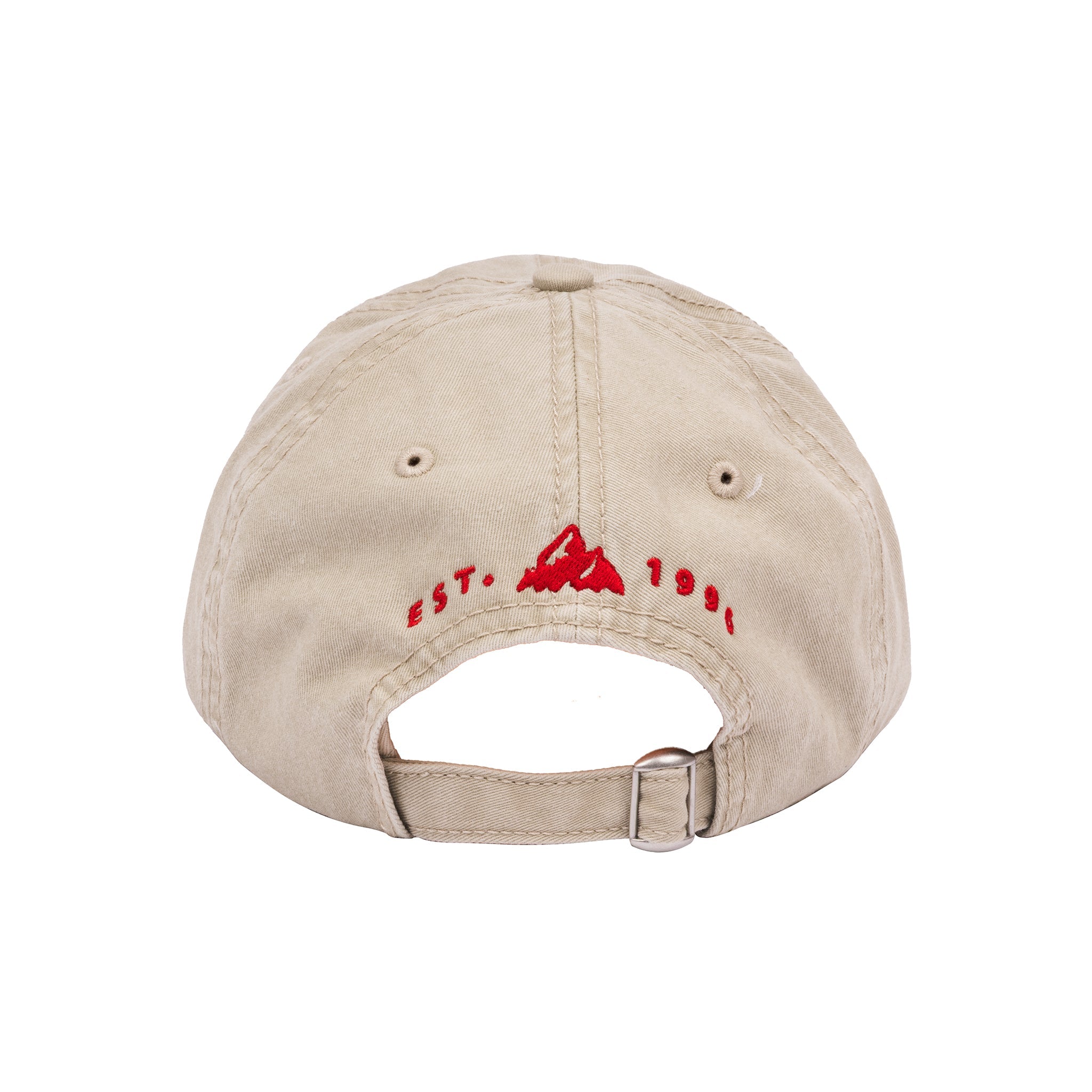 Grateful Dead x TGR Snowboard Bear Dad Hat - Teton Gravity Research