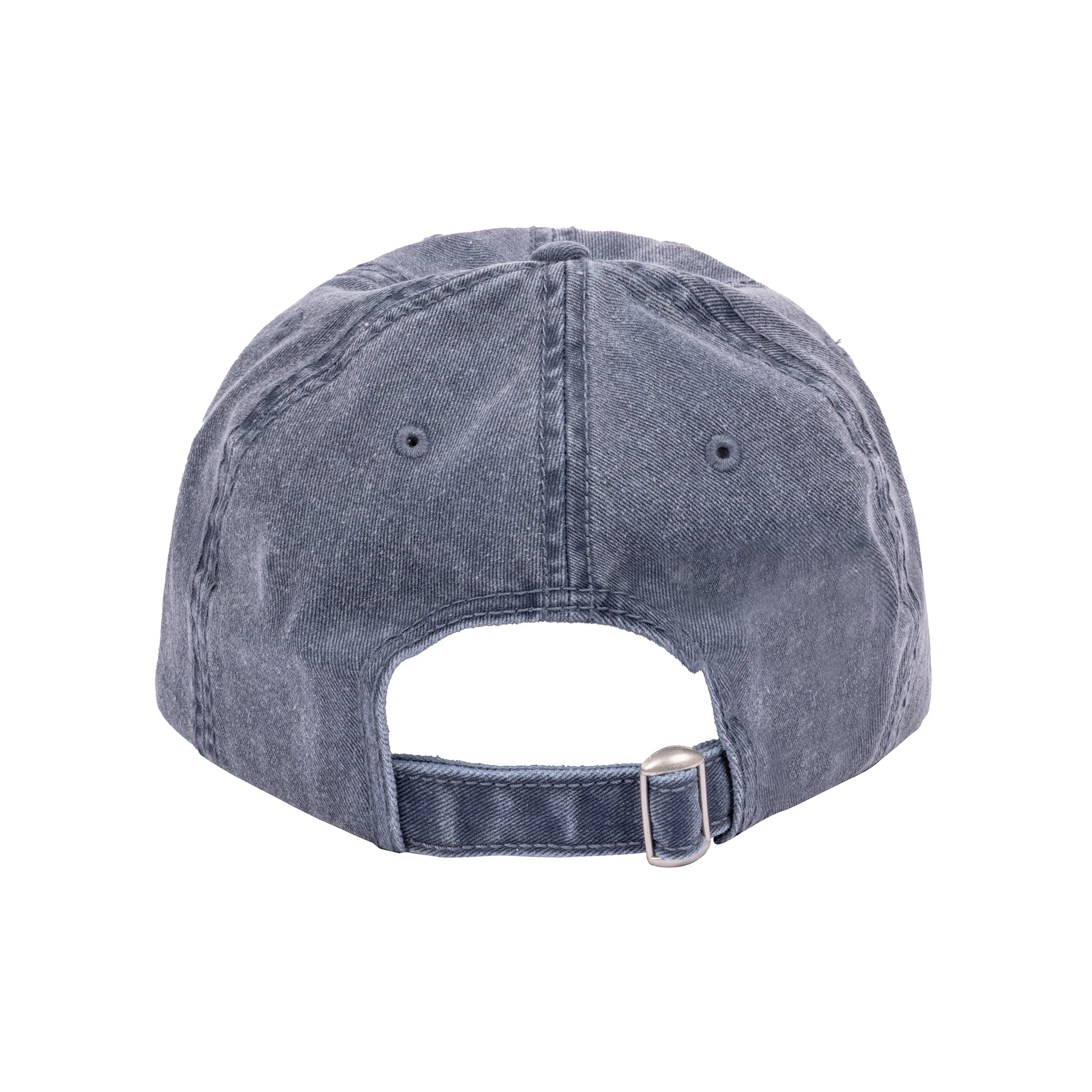 Wave Washed Dad Hat - Teton Gravity Research