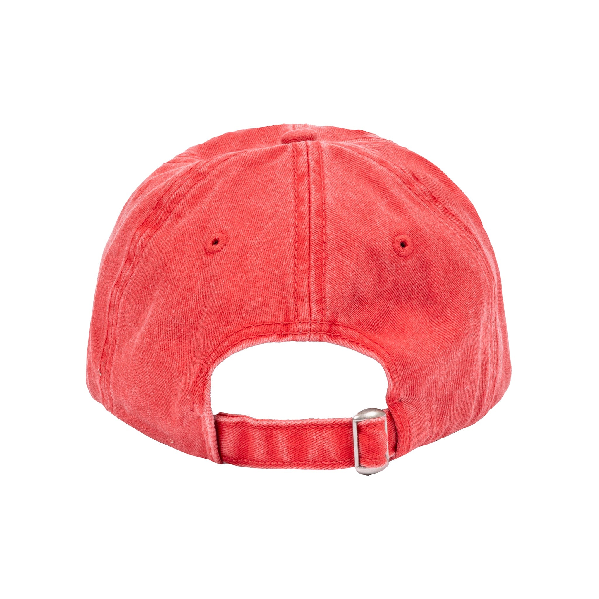 Wave Washed Dad Hat - Teton Gravity Research