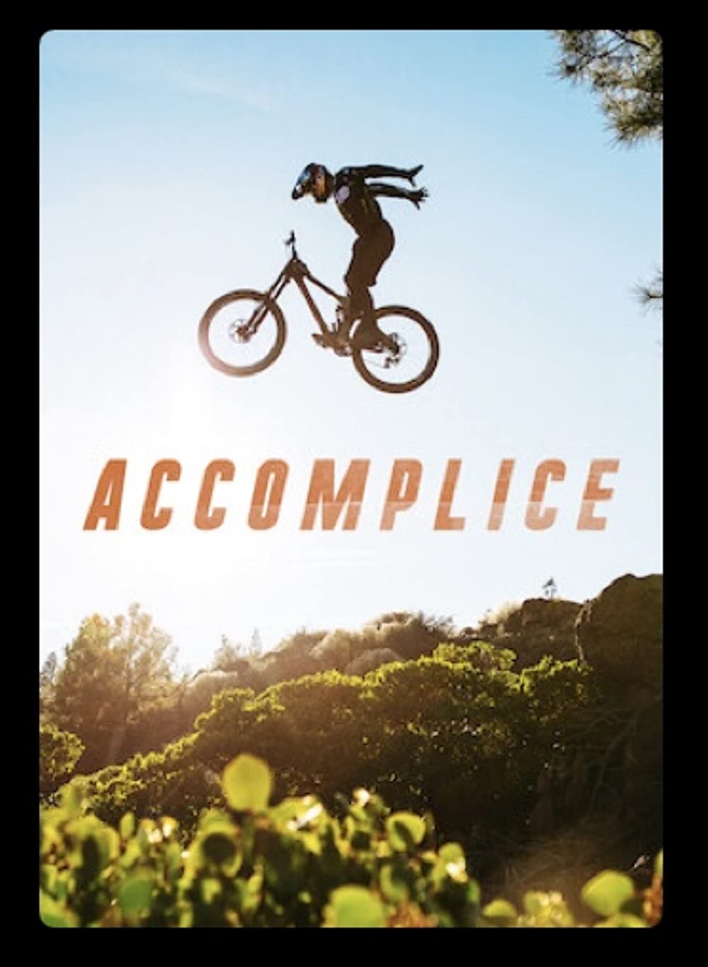 TGR Accomplice DVD - Teton Gravity Research