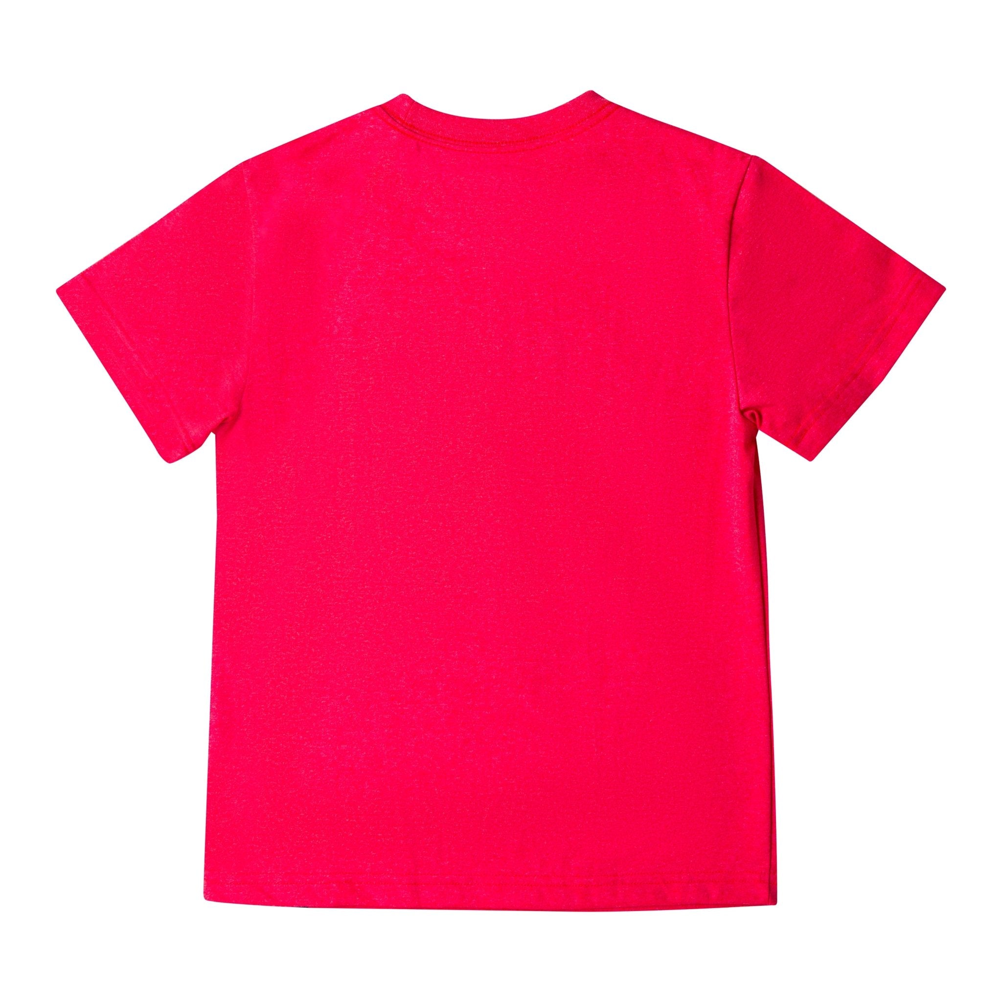 Youth Retro Camp Tee - Teton Gravity Research