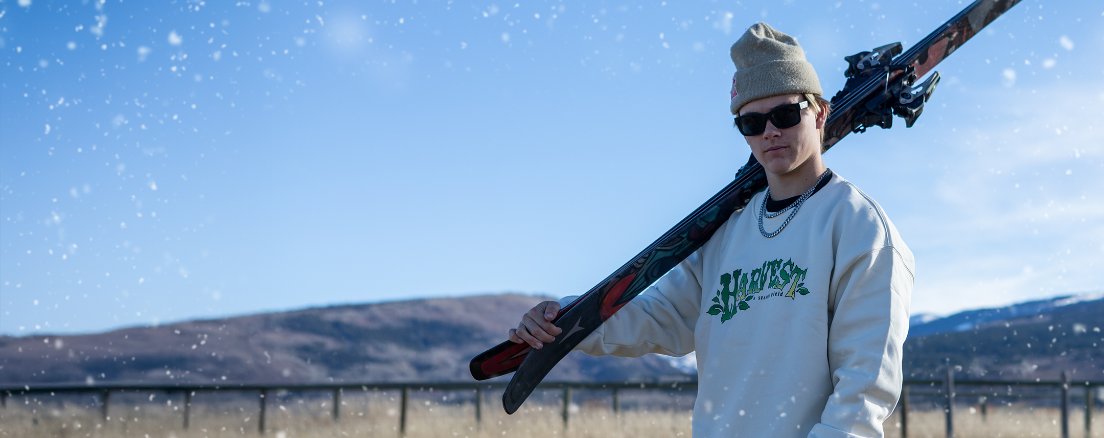 12 Days of TGR - Day 4