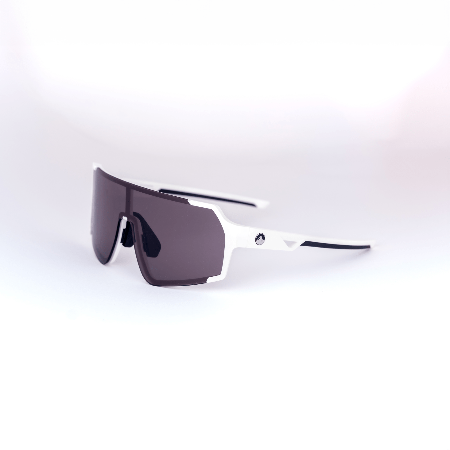 Accomplice Sunglasses - Teton Gravity Research