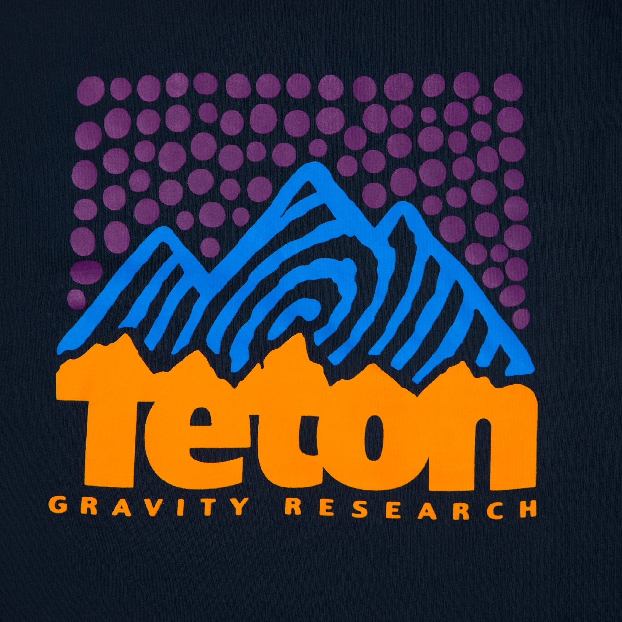 Art House Tee - Teton Gravity Research #color_navy
