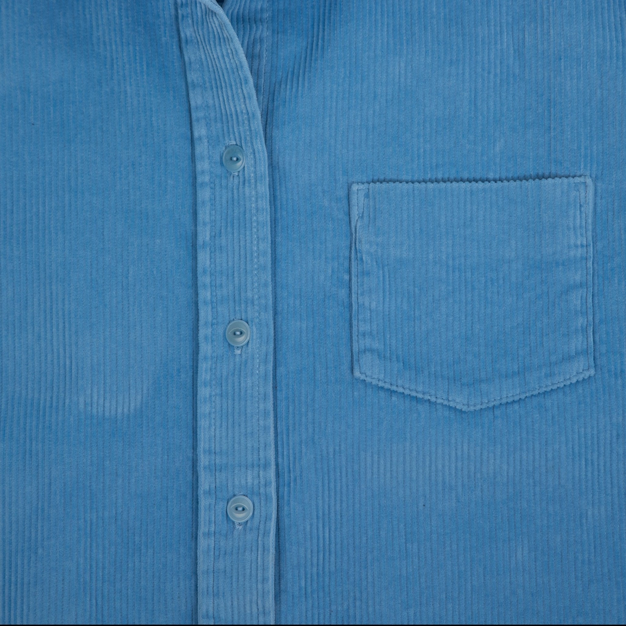 Women's Corduroy Work Shirt - Teton Gravity Research #color_blue bird